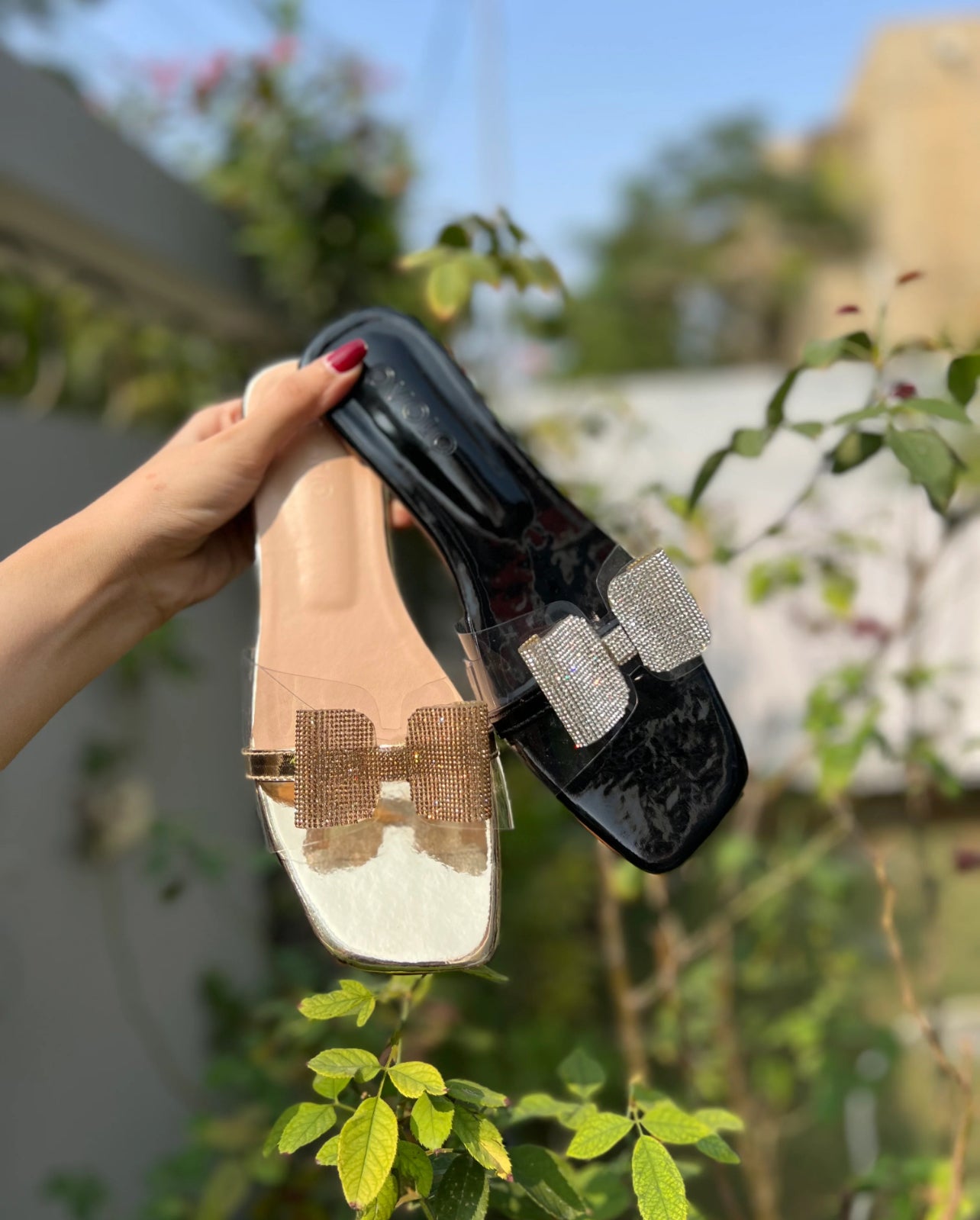 Butterfly Casual premium