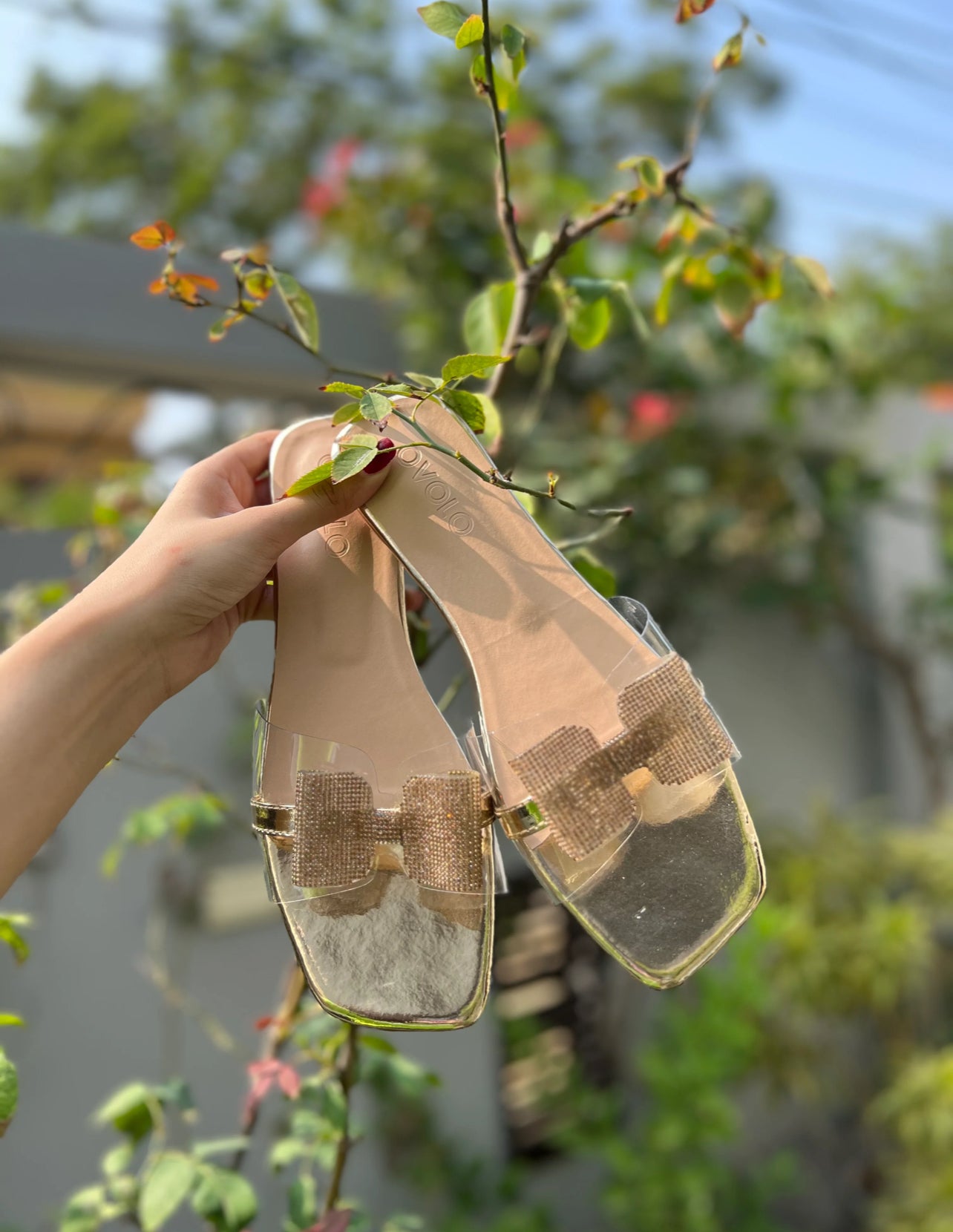 Butterfly Casual premium